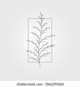 cedar pine tree leaves minimal icon vector symbol illustration design, line art plant illustration design