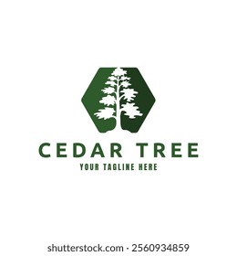 Cedar pine tree logo nature organic environment icon symbol illustration