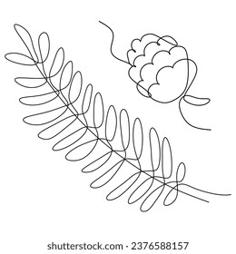 Cedar and pine tree pollen linear icon. Branch with needles, fir cone. Continuous line drawing. Thin line customizable illustration. Contour symbol. Vector isolated outline. Editable stroke