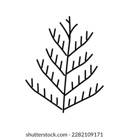 cedar plant leaf color icon vector. cedar plant leaf sign. isolated symbol illustration