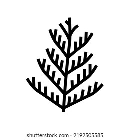 cedar plant leaf line icon vector. cedar plant leaf sign. isolated contour symbol black illustration