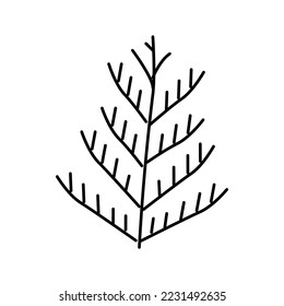 cedar plant leaf line icon vector. cedar plant leaf sign. isolated contour symbol black illustration