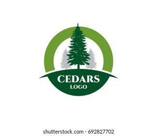 Cedar Plant Wood Forest Logo