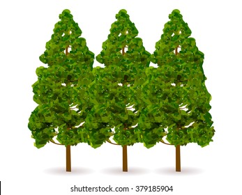 Cedar pollen tree icon