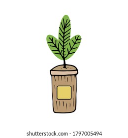 cedar seedling. growing cedar.cultivation of cedar in kraft packaging. greening the planet. planting of greenery. save the planet logo.environmental conservation emblem