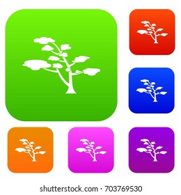 Cedar set icon in different colors isolated vector illustration. Premium collection