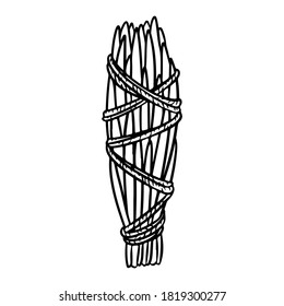 Zeder-Schmuckknüppel, geklebt mit Gewinde handgezeichnet Doodle einzeln Symbol. Das Logo der Vektorpflanzenblätter. Kräuterbündel