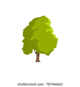 Cedar tree icon. Flat illustration of cedar tree vector icon isolated on white background