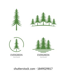 Cedar tree illustration logo template