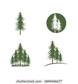 Cedar tree illustration logo template