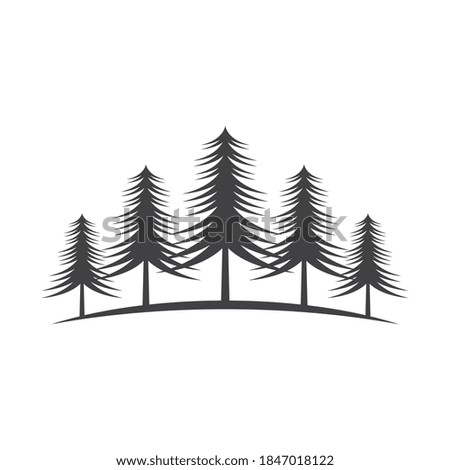 Cedar tree illustration logo template
