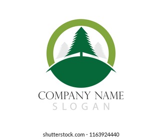 Cedar tree Logo template vector icon illustration design