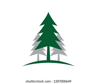 Cedar tree Logo template vector icon illustration design