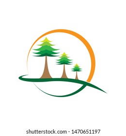 Cedar Tree Logo Template Vector Icon Design