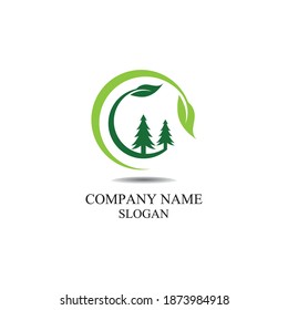 Cedar tree logo template vector icon design
