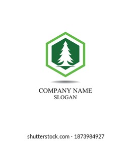 Cedar tree logo template vector icon design