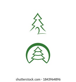 Cedar tree vector icon illustration design template