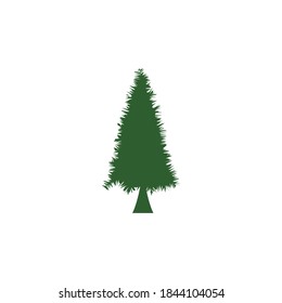Cedar tree vector icon illustration design template
