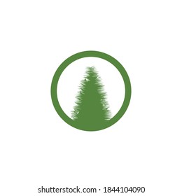 Zedernbaum, Vektorsymbol-Design-Vorlage