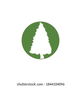 Cedar tree vector icon illustration design template
