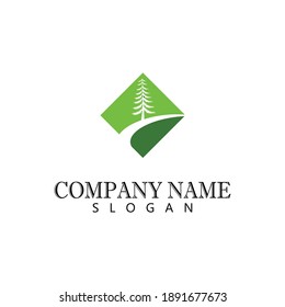 Cedar tree vector icon illustration design template