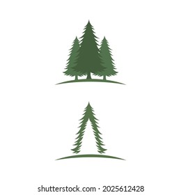 Cedar tree vector icon illustration design template