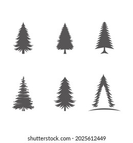 Cedar tree vector icon illustration design template