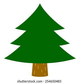 Cedar trees, fir tree