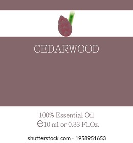 Cedarwood. Essential oil label design. Cosmetics packaging template. Vector image on the theme of aromatherapy.