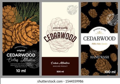 Cedarwood label design. Vector illustration of cedar cones and branch in engraving technique with lettering. 