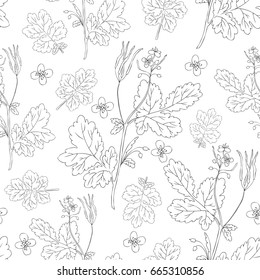 Celandine flower hand drawn graphic vector botanical illustration, seamless floral pattern, ink sketch isolated on white background, medical plant, line art for card, natural medicine, design cosmetic