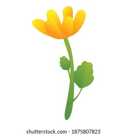 Celandine flower icon. Cartoon of celandine flower vector icon for web design isolated on white background