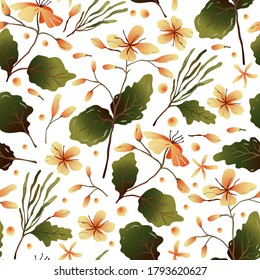 Celandine herb vector seamless pattern. Botanical floral summer drawing. Natural flower botany medicinal background.