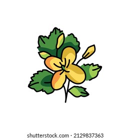 Celandine plant color line icon. Pictogram for web page, mobile app, promo.