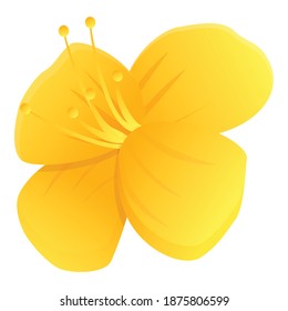 Celandine wild flower icon. Cartoon of celandine wild flower vector icon for web design isolated on white background