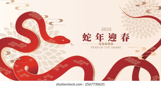 Celebrate the 2025 Chinese New Year with a banner template design featuring a coiled snake and festive New Year elements on a beige background. Translation: Welcoming Spring in the Year of the Snake.