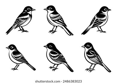 Celebrate the elegance of avian life with our "Eastern Phoebe Bird Stands Icon Vector" graphics design file. This digital product features a beautifully detailed vector icon of an Eastern Phoebe bird 