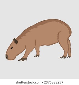 Celebrate your love of capybaras with a custom illustration!