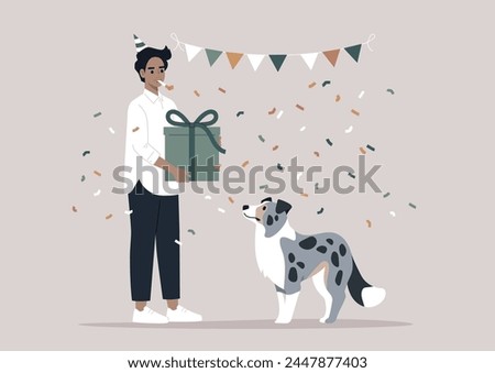 Celebrating a blue marble Border Collies Birthday With Festive Cheer, An owner presents a gift to an attentive puppy amidst a shower of confetti