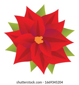 Celebration poinsettia icon. Cartoon of celebration poinsettia vector icon for web design isolated on white background