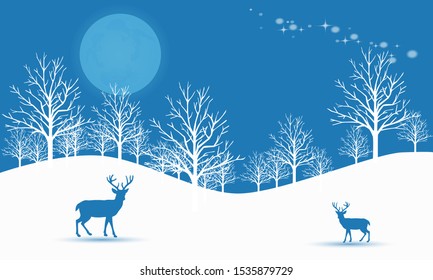 Celebration winter season in the night
