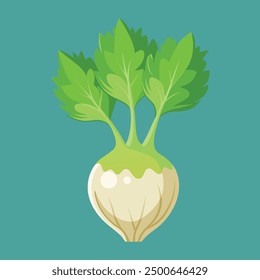 Celeriac. Fresh celery with green leaves isolated over white background