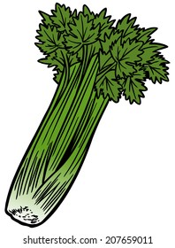 Featured image of post Cartoon Celery Celery cartoon 1 of 21