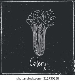 Celery. 
