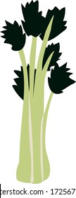 Celery with black leaves isolated on a white background