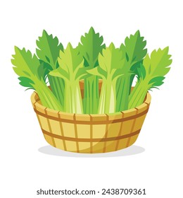 Celery in busket Green Leafy Vegetables vector illustration