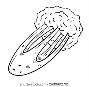 Celery cartoon hand drawn illustration. Green vegetable. Healthy nutrition. Ingredients for salad isolated on white. Black and white coloring