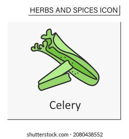 Celery color icon. Aromatic leaf stalks raw or cooked. Tasty herb with special flavor. Herbs and spices concept. Isolated vector illustration