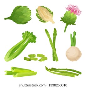 Celery concept. Organic food and vegetarianism. Vector illustration.