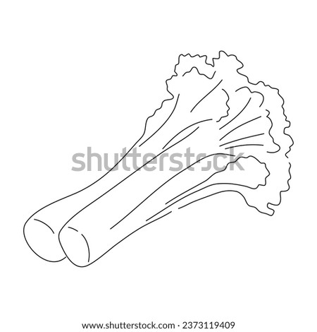 Celery doodle icon. Hand drawn black sketch. Vector editable stroke.